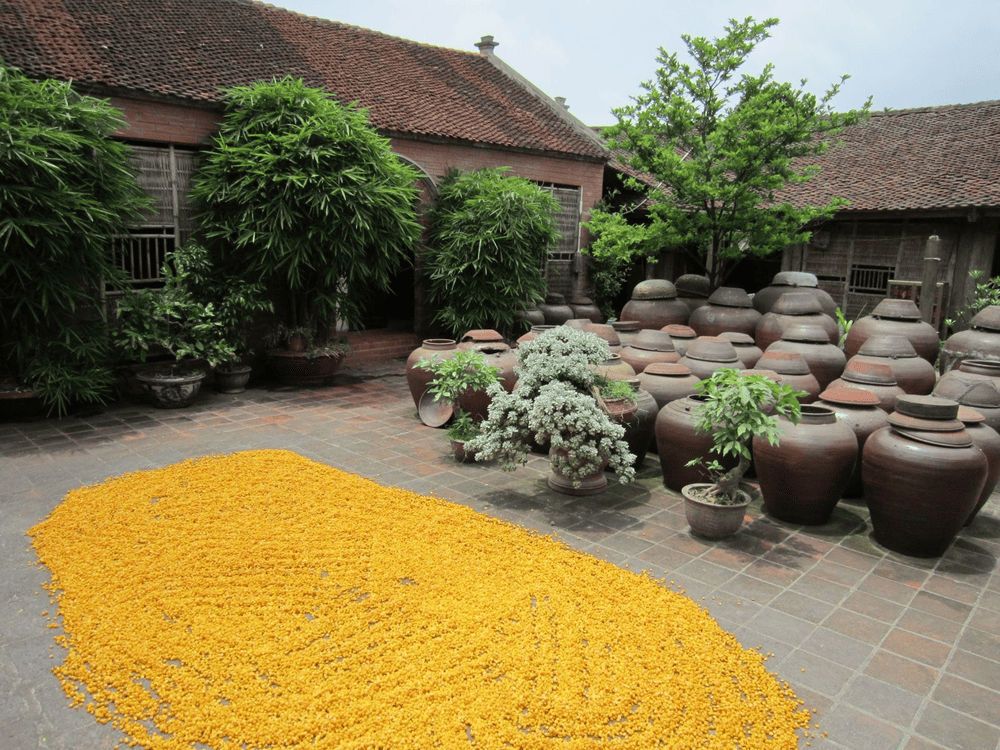 Làng cổ Đường Lâm vẫn còn giữ nguyên nét kiến trúc đơn sơ, mộc mạc của người Việt xưa (Nguồn: Đường Lâm Homestay)